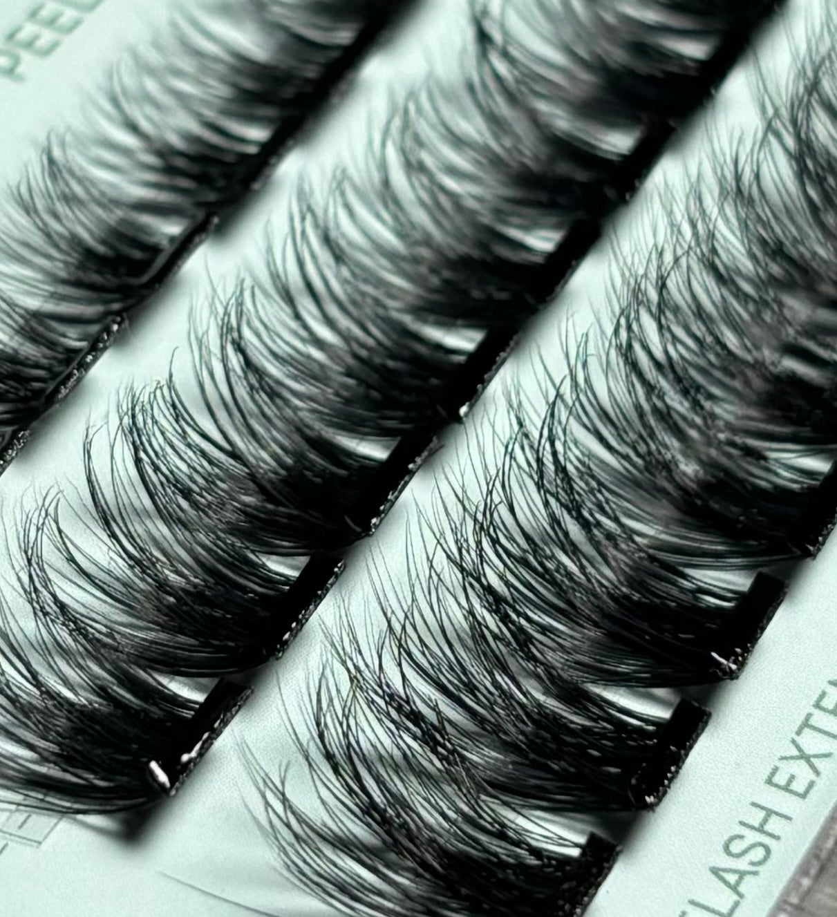 REFINED (PURCHASE TO PRE-ORDER) (Bolder lash)